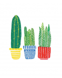 Cactus I